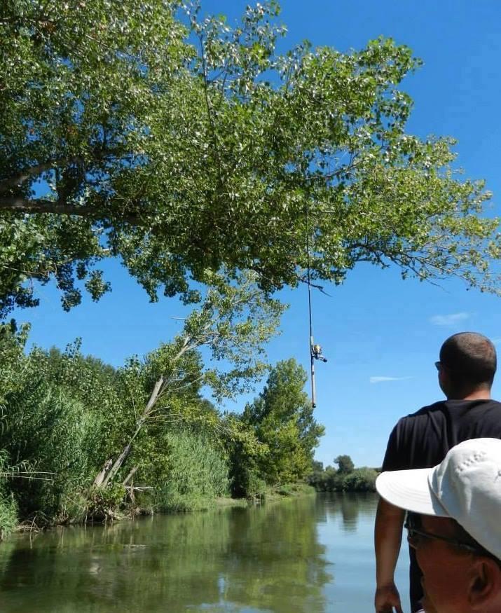 Fishing 4 - 14592085599305674190391999263737n1.jpg